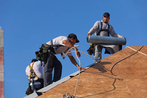 Best Storm Damage Roof Repair  in Lower Burrell, PA